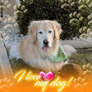 Meet your Posher, Judy